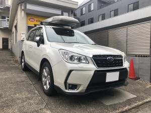 forester002